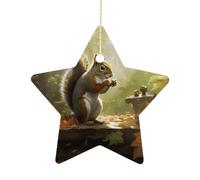 Christmas Star Ornaments - Squirrel Eats NutsPersonalized Ceramic Hanging Decor for Xmas Tree Home Fireplace Wall Party Decoration, Festive Holiday Star Shaped Ornaments Gift