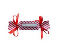 Christmas Surprise Money Pull Pouch for Kids Adults, Festive Cash Gift Box for Birthday, Xmas Stocking Filler, DIY Holiday Party Favour with 10 Transparent Bags (D)