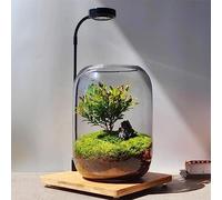 Christmas Terrarium Kit, DIY Glass Plant Terrarium, 6.3"X8.6" Micro-Landscape Vase with Light, Snowman and Pine Trees, for Home Office Tabletop Decoration, Wardian, Unique