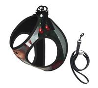 Christmas Traditional Gnome printing Puppy Harness, Dog Harness and Leash Set, Soft Mesh Reflective Breathable Lightweight Vest-Style
