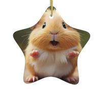 Christmas tree Ceramic hanging Star Pendant decorations WHJSSF Cute Guinea Pig Pattern Exquisite design 3.12x3.12in