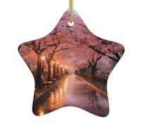 Christmas tree Ceramic hanging Star Pendant decorations YYHWHJDE Cherry blossoms in Washington, DC Prints Exquisite design 3.12x3.12in