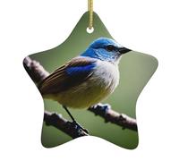 Christmas tree Ceramic hanging Star Pendant YYHHAOFA Ethereal nightingale bird Pattern Decoration malls, supermarkets, shops