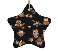 Christmas tree Cute Brown Cartoon Owls Print star shaped ceramic Ornaments,Holiday Creative Home Decoration