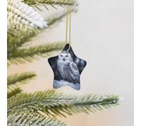 Christmas Tree Decoration Hanging Star Ornament Arctic Owl Ceramic Ornaments Christmas Tree Decorations Star Pendants for Xmas Tree Winter New Year Wedding Party Supplies