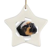 Christmas Tree Decoration With Ribbon Xmas Ornaments Ceramic Christmas Baubles Funny Guinea Pig Black Orange Coming Out Of Cracked Wall