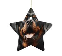 Christmas Tree Decorations Ceramic Cool Rottweiler Dog Hanging Ornaments with Gold String Double-Sided Personalized Xmas Tree Decor for Indoor Home Holiday Party Decorations Gift-Star Shaped