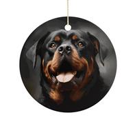 Christmas Tree Decorations Ceramic Cool Rottweiler Dog Hanging Ornaments with Gold String Double-Sided Personalized Xmas Tree Decor for Indoor Home Holiday Party Decorations Gift