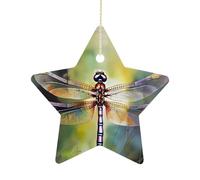 Christmas Tree Decorations Ceramic Dragonfly Painting Hanging Ornaments with Gold String Double-Sided Personalized Xmas Tree Decor for Indoor Home Holiday Party Decorations Gift-Star Shaped