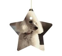 Christmas Tree Decorations Ceramic French Poodle Hanging Ornaments with Gold String Double-Sided Personalized Xmas Tree Decor for Indoor Home Holiday Party Decorations Gift-Star Shaped
