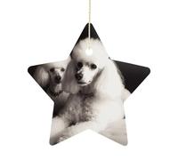 Christmas Tree Decorations Ceramic French Poodle Hanging Ornaments with Gold String Double-Sided Personalized Xmas Tree Decor for Indoor Home Holiday Party Decorations Gift-Star Shaped