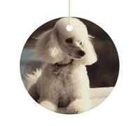 Christmas Tree Decorations Ceramic French Poodle Hanging Ornaments with Gold String Double-Sided Personalized Xmas Tree Decor for Indoor Home Holiday Party Decorations Gift