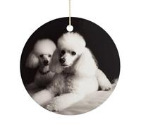Christmas Tree Decorations Ceramic French Poodle Hanging Ornaments with Gold String Double-Sided Personalized Xmas Tree Decor for Indoor Home Holiday Party Decorations Gift