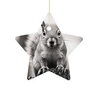 Christmas Tree Decorations Ceramic Light Gray Squirrel Hanging Ornaments with Gold String Double-Sided Personalized Xmas Tree Decor for Indoor Home Holiday Party Decorations Gift-Star Shaped