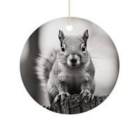 Christmas Tree Decorations Ceramic Light Gray Squirrel Hanging Ornaments with Gold String Double-Sided Personalized Xmas Tree Decor for Indoor Home Holiday Party Decorations Gift
