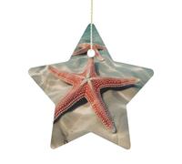 Christmas Tree Decorations Ceramic Ocean Starfish Hanging Ornaments with Gold String Double-Sided Personalized Xmas Tree Decor for Indoor Home Holiday Party Decorations Gift-Star Shaped