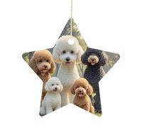 Christmas Tree Decorations Ceramic Poodles Dogs Hanging Ornaments with Gold String Double-Sided Personalized Xmas Tree Decor for Indoor Home Holiday Party Decorations Gift-Star Shaped