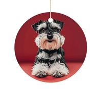 Christmas Tree Decorations Ceramic Schnauzer Hanging Ornaments with Gold String Double-Sided Personalized Xmas Tree Decor for Indoor Home Holiday Party Decorations Gift