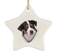 Christmas Tree Decorations Ceramic Xmas Tree Decorations With Ribbon Christmas Baubles Xmas Ornaments Funny Parson Jack Russell Terrier Puppy Tri Color Coming Out Of Cracked Wall