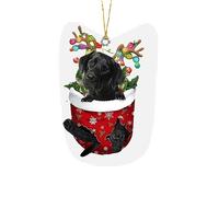 Christmas Tree Decorations Dachshunds Dog Christmas Tree Pendants Xmas Home Room Indoor Outdoor Decor Holiday Wedding Party Decoration Hanging Pendants Car Hanging Baubles Favours (31-C, One Size)