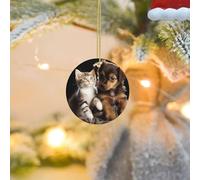 Christmas Tree Decorations Hanging Cute Cats and Dogs Playing Ornament, Smooth Ceramic Christmas Tree Ornaments, Hanging Round Pendants Keepsake Decor for Xmas Tree Winter Holiday Xmas Gift