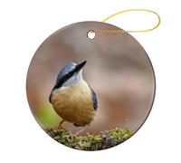 Christmas Tree Decorations Nuthatch Bird Animal Feathers, Ceramic Hanging With Lanyard Xmas Tree Bauble Christmas Decorations For Memorial Home Decor