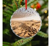 Christmas Tree Decorations Ornament, Desert Locust Swarm Christmas Tree Ornaments, Crystal Glass Xmas Decorative Hanging Ornaments, Xmas Decor Indoor Home Holiday Party Gifts