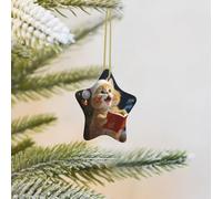 Christmas Tree Ornaments Star Ceramic Ornament Funny Porcelain Hanging Pendant Crafts Cute Cat Sing Christmas Carols Holidays Ornaments Ceramic Keepsake Gifts for Christmas Tree Decorations
