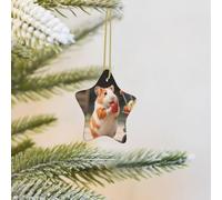 Christmas Tree Ornaments Star Ceramic Ornament Funny Porcelain Hanging Pendant Crafts Cute Guinea Pig Holidays Ornaments Ceramic Keepsake Gifts for Christmas Tree Decorations