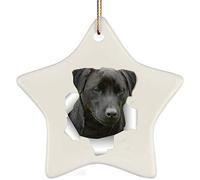 Christmas Tree Pendant With Ribbon Christmas Tree Decorations Funny Xmas Tree Decorations Ceramic Hanging Funny Patterdale Terrier Black Coming Out Of Cracked Wall