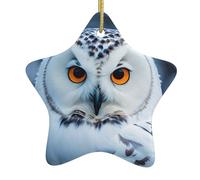 Christmas tree Snowy Owl Eyes Print star shaped ceramic Ornaments,Holiday Creative Home Decoration