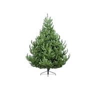 Christmas Tree World | 5ft Artificial Unlit Mountain Pine | Natural and Realistic Look with Bushy and Luxury Quality PVC Tips | Easy to Assemble and Take Down | 117cm Diameter