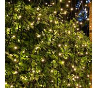 Christmas Tree World Crownvine 2 Pack 20 Led Warm White Curtain Lights 2M - Black Rubber Cable (For Crownvine Lights)