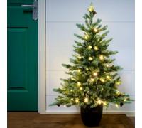Christmas Tree World The 3Ft/90Cm Pre-Lit Cairngorm Pine Potted Tree (Outdoor)