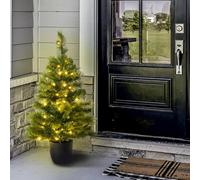Christmas Tree World The 3Ft/90Cm Pre-Lit Majestic Dew Pine Potted Tree (Outdoor)