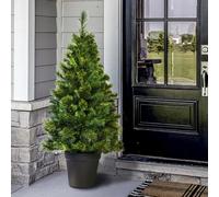 Christmas Tree World The 4Ft/120Cm Majestic Dew Pine Potted Tree (Outdoor)