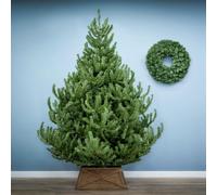 Christmas Tree World The 4Ft/120Cm Mountain Pine Christmas Tree