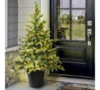 Christmas Tree World The 4Ft/120Cm Pre-Lit Cairngorm Pine Potted Tree (Outdoor)