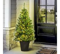 Christmas Tree World The 4Ft/120Cm Pre-Lit Majestic Dew Pine Potted Tree (Outdoor)