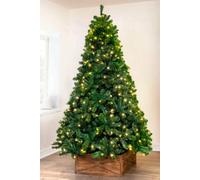 Christmas Tree World The 7Ft Pre-Lit Arbor Vitae Fir Tree With Hinged Branches