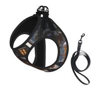 Christmas Village House 3 Print Dog Harness with Leash Set with Thickened Padded Vest for Extra-Small/Small Medium Dogs