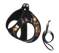 Christmas Village House 4 Print Step in Dog Harness and Leash Set,Adjustable Reflective Harness for Small Dogs Cats