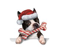 Christmas Wall Stickers Pet Dog Christmas Hat Door Stickers Refrigerator Pet Shop Decoration Stickers Photo Bathtub Prop (Red, One Size)