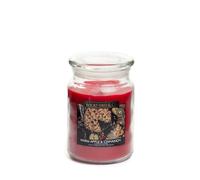 Christmas Warm Apple Cinnamon Wickford & Co Luxury Festive Scented Large Glass Jar Candle - 18oz, 95-Hour Burn Time, Christmas Home Decor, Cosy Winter Fragrance
