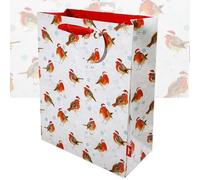 Christmas Winter Robins Premium Gift Bag | Large 25.6cm wide x 32cm tall x 14cm deep | Printed on the inside | Designed in the UK | sustainably sourced and recyclable