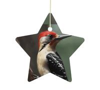 Christmas Woodpecker Star Pendant Star-Shaped Ornament Hanging Ceramic Pendant Porcelain Stars Decorations for Xmas Tree Winter New Year Wedding Party Home Decor