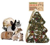 Christmas Xmas Festive 100% Natural Fruit Tree Edible Gnaw Treat Small Animals (Xmas Fruit Tree)