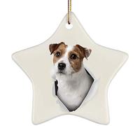 Christmas Xmas Tree Bauble With Ribbon Xmas Ornaments Funny Ceramic Hanging Keepsake Funny Parson Jack Russell Terrier White Fawn Coming Out Of Cracked Wall