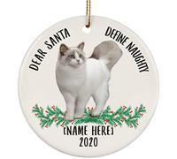 Christmas Xmas Tree Hanging Ceramic Keepsake With Ribbon Christmas Xmas Tree Bauble Xmas Tree Decorations Funny Personalized Name Ragdoll Cat White Dear Santa Define Naughty