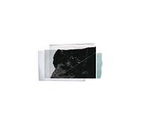 Christopher Bissonnette - Essays in Idleness